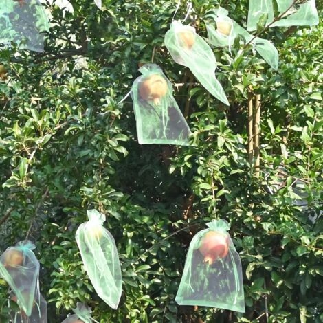 Lot De 100 Sacs De Protection Fruits En Organza 15x20 Cm - Réutilisables Et Lavables - Protection Oiseaux Et Insectes