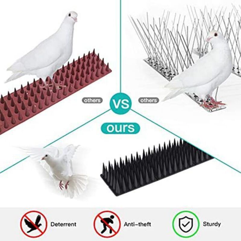 Lot de 6 répulsifs à pigeons En plastique Noir Répulsif contre les