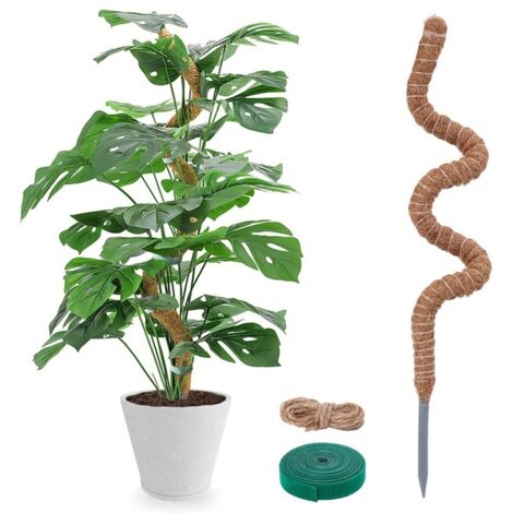 Tuteur en fibres de coco 60 cm – Flexible pour plantes grimpantes d'intérieur – Support racinaire sain – Accessoires inclus