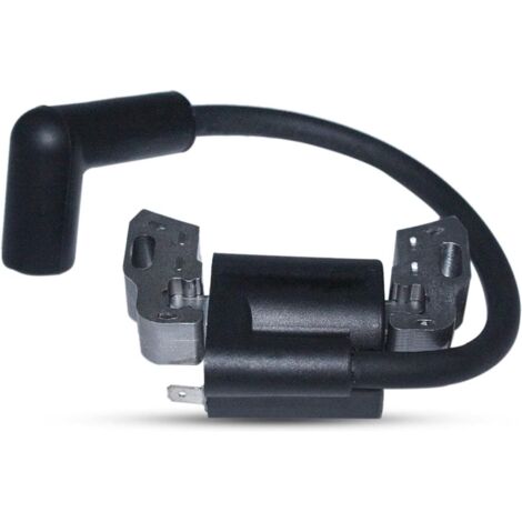 LinDuxe 798534 799582 593872 593381 Induit-magnéto pour bobines d'allumage de moteur 84005272 (1/4)