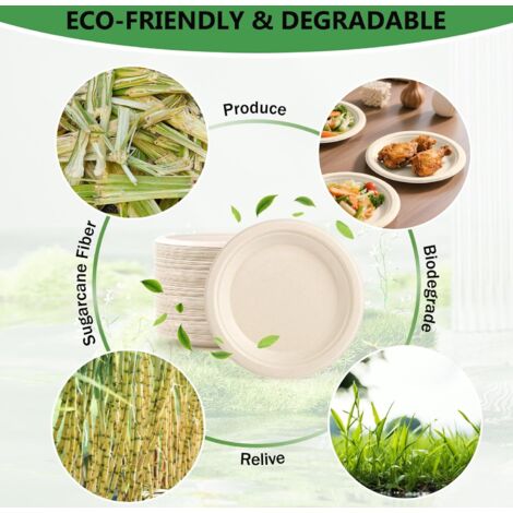 50 Assiettes Carrées Biodégradables En Canne à Sucre – 16 Cm – Compostables Et Micro-ondables