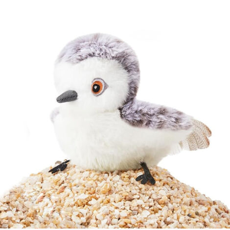 Jouet pour Chat Oiseau Battant – Oiseau Volant Réaliste avec Son et Mouvement, Rechargeable USB, Jouet Interactif pour Chaton et Chat Adulte (10 cm)​