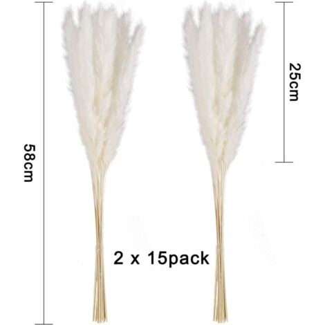 CHOYCLIT 30 pcs Herbe de la Pampa, 58 cm Naturel Pampa Fleur Bouquet de ...