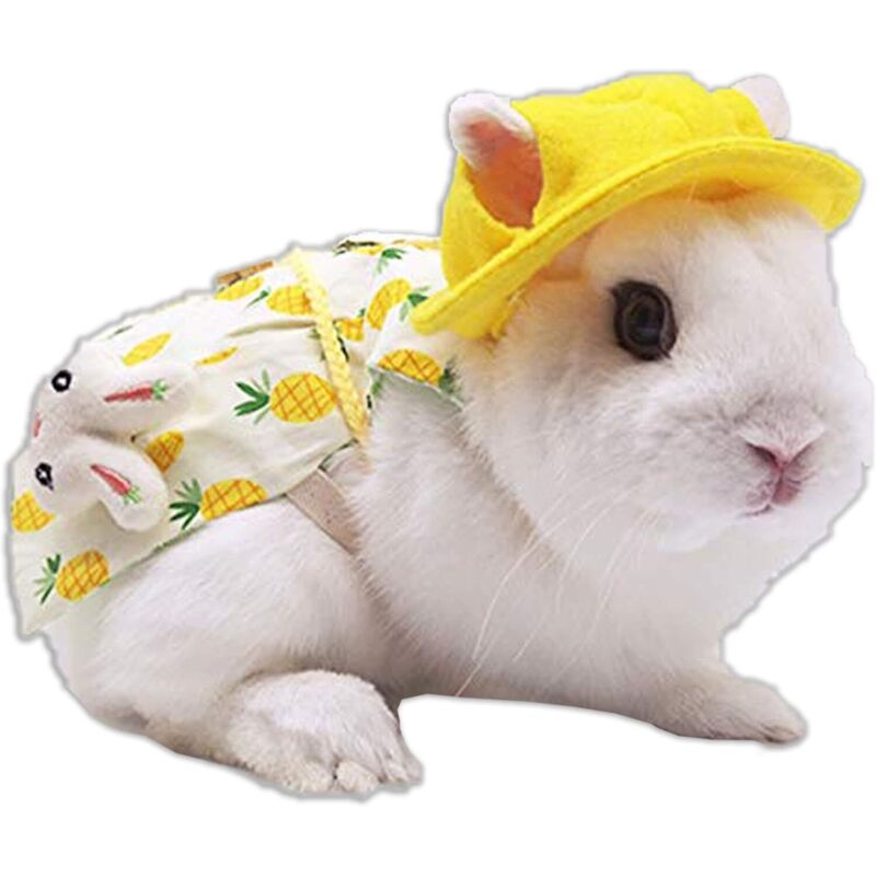 Harnais Pour Lapin, Furet, Chinchilla - Ajustable Avec Laisse - Design Dinosaure - Pour Promenade, Photos