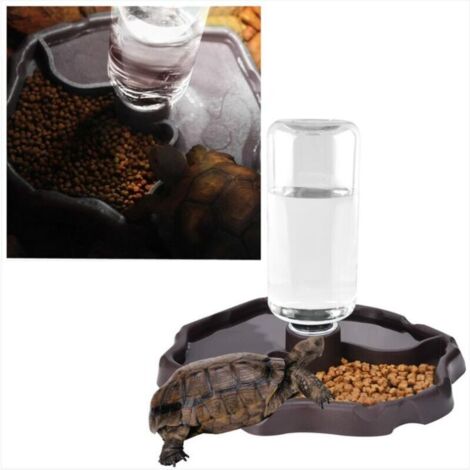 Distributeur D'eau Pour Reptile 2 En 1 - Abreuvoir Et Mangeoire, 200 Ml, Marron - 5
