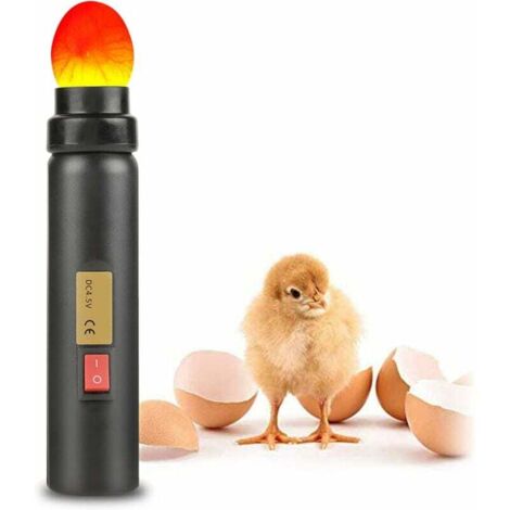 Enowelir Prise UE LED Lampe lumiere detecteur de surveillance developpement des Oeufs 220V EU prise ,pour oeufs de poule, incubateurs pour
