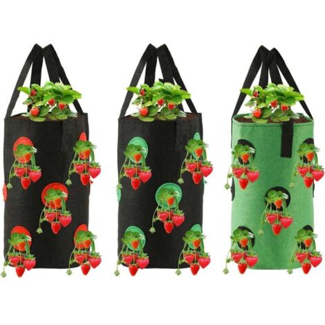 Enowelir Bottes de Protection Imperméables pour Chien Lot de 4 Taille Moyenne et Grande Noir (1/4)
