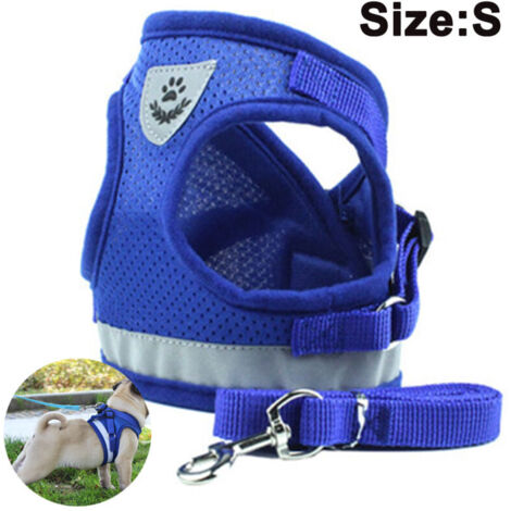 Harnais et laisse pour chien, harnais pour chien rembourré en maille douce pour chiots chats, réfléchissant (S, bleu) (1/4)
