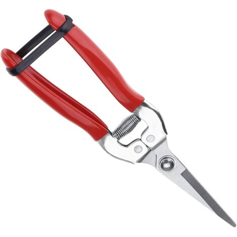 Sécateur Professionnel en Acier Inoxydable avec Lames Droites – Idéal pour la Taille de Branches et de Fleurs au Jardin – Couleur Rouge (1/4)