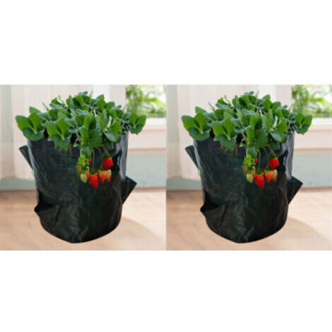 Sacs de culture pour fraises – 2 unités en tissu non tissé respirant, 18 L (5 gallons), dimensions 23 x 28 cm avec 4 ouvertures (1/4)