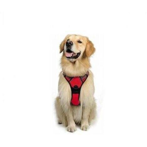 Harnais chien réglable anti-traction rouge avec réflecteurs, taille M pour races grandes comme American Staff ou Border Collie (1/4)
