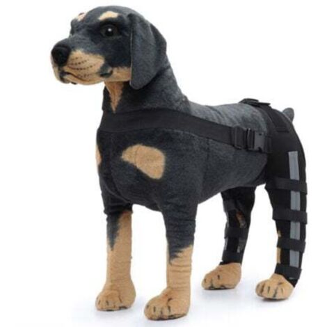Genouillère pour chien – Taille S, double protection arrière contre l’arthrite et la luxation rotulienne, maintien chaud & soutien renforcé (1/4)