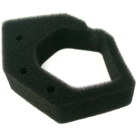 Filtre à Air Compatible pour Moteur GX25 – Élément de Remplacement Haute Performance pour Équipements de Jardin et Générateurs (1/2)
