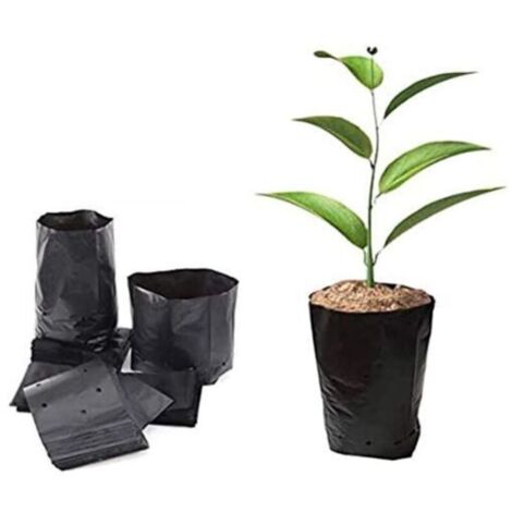 500 Pièces Coupelles de Pépinière en Plastique pour Propagation de Plantes – 8 cm x 8 cm – Légères et Réutilisables (1/4)