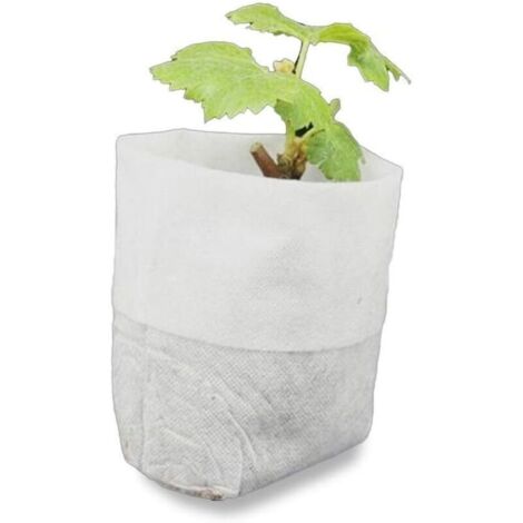 500 Sachets Non Tissés Biodégradables pour Semis et Culture de Tomates, Fleurs et Plantes – Blanc – 8 × 10 cm (1/3)