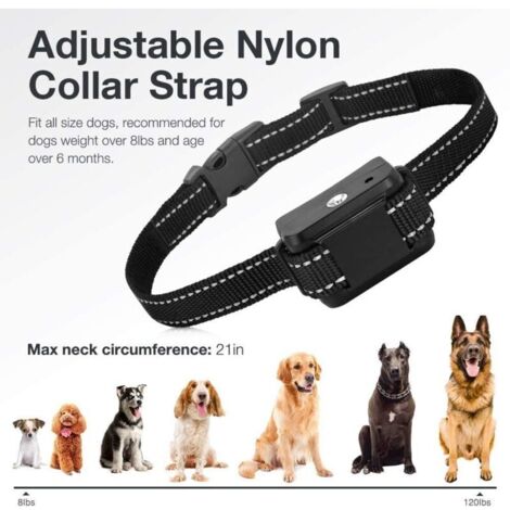 Collier Anti-Aboiement Chien Avec Spray à La Citronnelle - 3 Niveaux Réglables, Étanche, Rechargeable