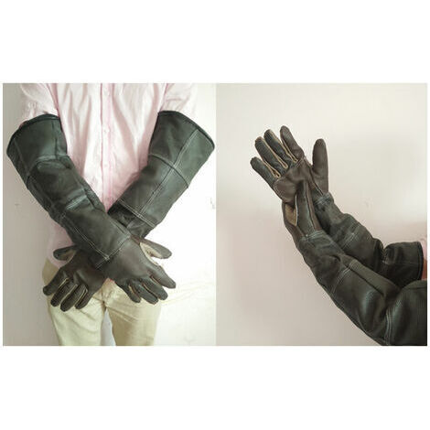 Gants de jardinage en cuir de vache – Résistants aux morsures et rayures – Doublure coton pour confort – Protection lors de la manipulation d'animaux – Groupm (1/5)
