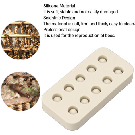 Outil Nettoyage Cellules Reine / Gelée Royale | Apiculture, Accessoire Apiculteur - Métal, 13.5cm - 3