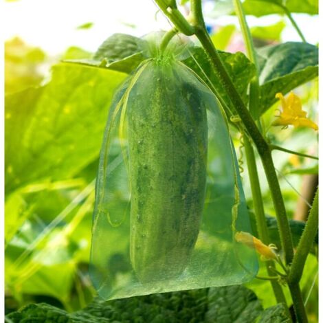 100 Sacs De Protection Pour Raisins En Organza - 30x20 Cm, Vert, Avec Cordon - Anti-guêpes, Oiseaux Et Intempéries