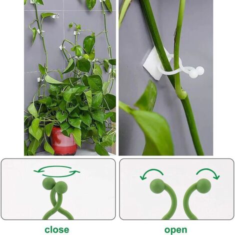 100 Pieces Clips De Support Pour Plantes Grimpantes, Crochet Auto Adhesif Plante Plante Grimpant Fixations Murales Pour Jardin Vignes Bureau Cable De Fixationaccessoire De Rangement Pour Cuisine 91969463