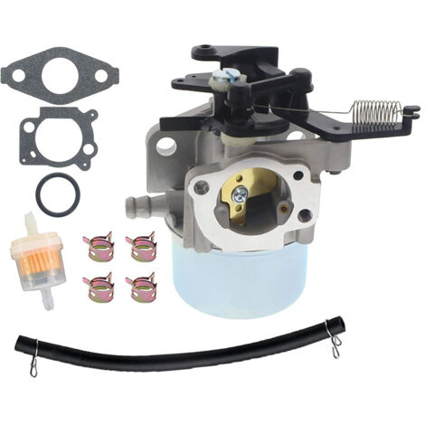 Carburateur avec Joints pour Briggs & Stratton – Nettoyeur 2700-3000 PSI – 594287 (1/5)
