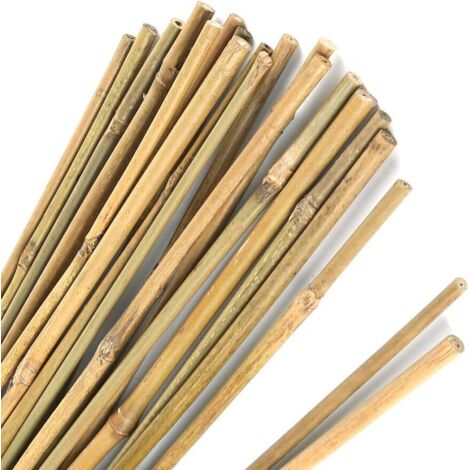 ZOLGINAH Piquets en Bambou épais Naturel piquets de Jardin Cannes de Bambou pour Le Soutien des Plantes. 40 CM (1/5)