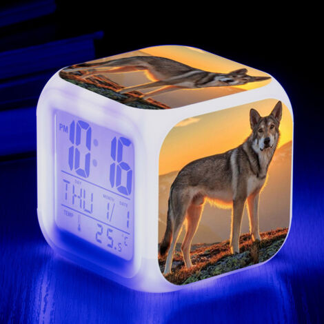 ZOLGINAH Réveil LED Wolf - Pour enfant - Réveil de chevet - Carré - Écran LCD éclairé - Motif loup (3) (1/5)