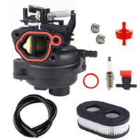 799584 Accessoires Carburateur M220 – 799583, 796584 – Pour 725EX