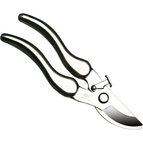 Ciseaux de Jardin Longueur Totale 21cm - 304(18/8) Acier Inoxydable (1/5)