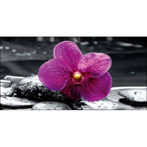Lupia - Quadro su tela canvas DEEP 77X143 ORCHID IN BLACK (1/3)