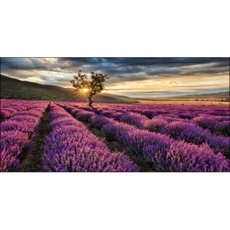 Lupia - Quadro su tela canvas DEEP 100X180 LAVENDER GARDEN (1/3)