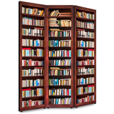 Lupia - Separe' per interni, Divisorio 135,6 x H 176 x P 3,1 cm LIBRERIA paravento 3 Ante in legno con Tele stampate fronte retro Soggetto unico (1/4)