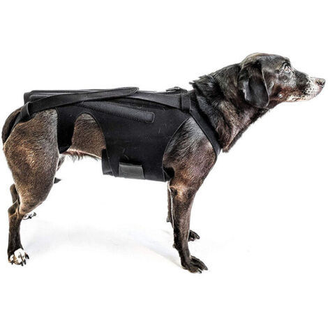 SELVA Comfortisse Posture PRO – Supporto Per La Schiena E Correttore Di Postura, Taglia S/M (60-95 Cm), Con Fibre Di Canapa