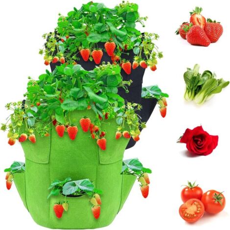 Pz 10 Gallon Sacchi Coltivazione Fragole Sacchetti per Piantare Fragole in Tessuto Non Tessuto con 8 Tasche Laterali per Fragole Verdure Fiori Erbe Pianta a Radice Nuda (1/4)
