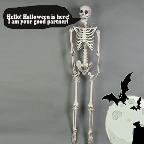 Decorazione di Halloween da 15 pollici, scheletro umano snodabile, decorazione di Halloween per feste horror, modello anatomico, spaventoso scheletro di Halloween a tema per feste (1/4)