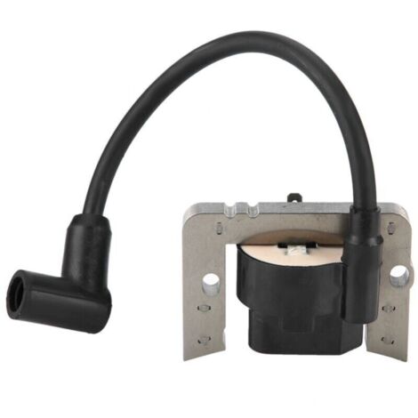 Bobina de encendido Eosnow para Tecumseh 36344A 37137, módulo de encendido de bobina de alto voltaje (1/4)
