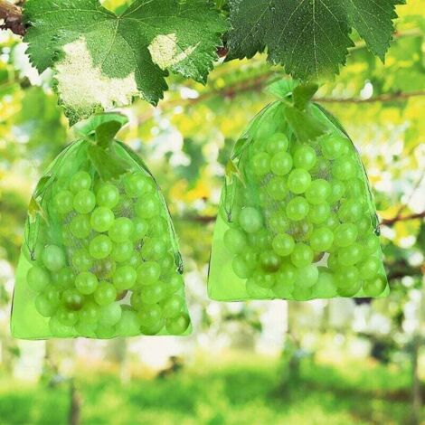 Paquete De 100 Bolsas Protectoras Para Uvas Bolsas Protectoras De paquete-de-100-bolsas-protectoras-para-uvas-bolsas-protectoras-de