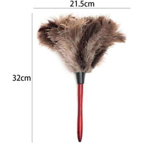 Plumeros De Avestruz Natural Con Mango De Madera 35 Cm | Meses Sin Interés