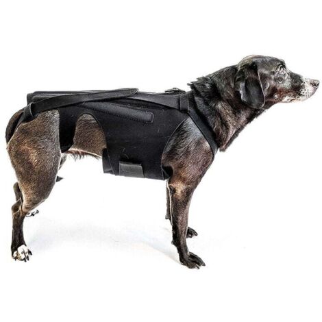 Soporte de espalda (talla S) para perros pequeños, artritis, recuperación después de cirugía de columna, hernias discales, rehabilitación – Dachshunds, Corgis (1/4)