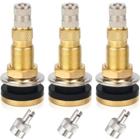 Válvulas para tractor sin cámara – 3 piezas TR618A con tapas de latón para extracción del núcleo. (1/4)