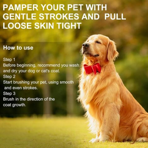 Gants De Toilettage Double Face Pour Animaux - Lot De 2 Gants + Brosse Anti-puces - Réutilisables, Doux, élimination Des Poils Morts