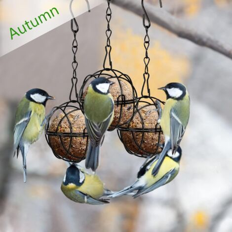 Csnbfiop Mangeoire d'extérieur pour oiseaux - Support de boules de graisse suspendu - Cage en