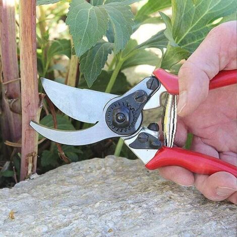 Secateur A Cremaillere Pièces De Ressort De Sécateur De Jardin En Acier Inoxydable à Ressort Secateur De Jardin Professionnel