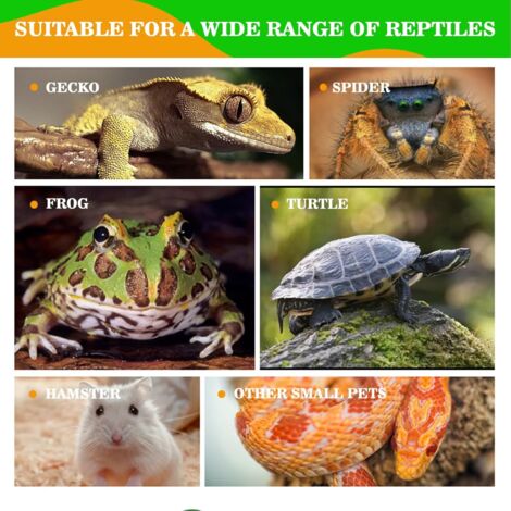 2 Pièces Gamelle Tortue Terrestre, Abreuvoir Tortue Terrestre,Bols à