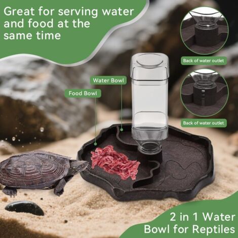 Distributeur D'eau Pour Reptile 2 En 1 - Abreuvoir Et Mangeoire, 200 Ml, Marron - 4