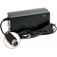 24V 2A Velo Electrique Velo Chargeur De Batterie Au Lithium Intelligent Sortie 29.4V 2A Chargeur Port Cc Chargeur Rapide Avec Ventilateur De Refroidissement, Prise Rca