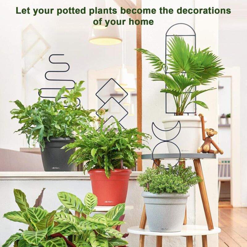 Treillis Métallique Pour Plantes Grimpantes – Forme éventail 30 X 40 Cm – Noir – Pour Intérieur/extérieur – Lierre, Clématite, Jasmin - 5