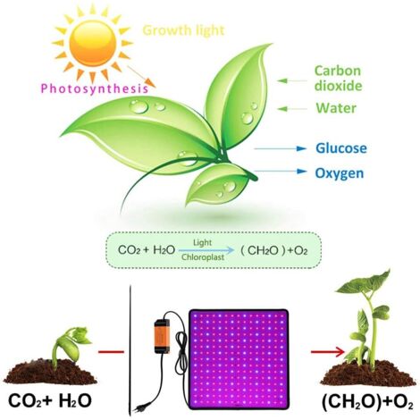 ASUNDOM Lampe Pour Plante,avec Un UV Panneau Spectre Complet Et IR 36W Lumière De Croissance En
