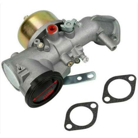Tuserxln – Carburateur compatible Briggs Stratton 491026/281707/491031 12hp – Réservoir durable – Installation rapide – Économie de carburant (1/5)