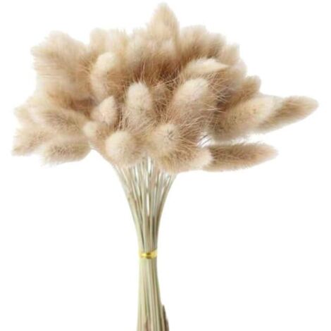 90 Pièces Pampas Herbe Vase DéCoratif Home Arrangements, Herbe de Pampa SéChéE Plantes Fluffy Fleurs SéChéEs 55 Cm (1/4)